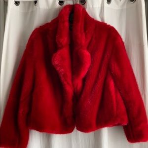 Zara Teddy Coat